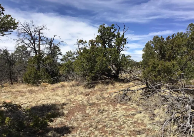 Photo 4 of Sale Pending at Lot 694 Fred Rd, Ramah, NM 87321 | MLS# 1056768 | Listing updated on 2026-08-03