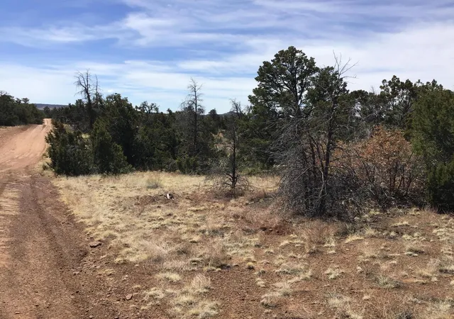Photo 9 of Sale Pending at Lot 694 Fred Rd, Ramah, NM 87321 | MLS# 1056768 | Listing updated on 2026-08-03