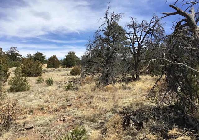 Photo 17 of Sale Pending at Lot 696 Gabe Rd, Ramah, NM 87321 | MLS# 1056770 | Listing updated on 2026-08-03