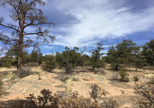 Photo 1 of Sale Pending at Lot 696 Gabe Rd, Ramah, NM 87321 | MLS# 1056770 | Listing updated on 2026-08-03