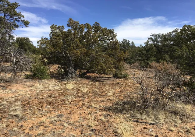 Photo 2 of Sale Pending at Lot 696 Gabe Rd, Ramah, NM 87321 | MLS# 1056770 | Listing updated on 2026-08-03