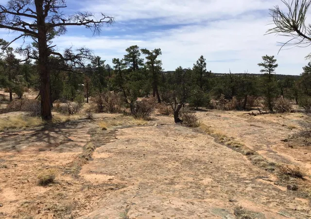 Photo 3 of Sale Pending at Lot 696 Gabe Rd, Ramah, NM 87321 | MLS# 1056770 | Listing updated on 2026-08-03