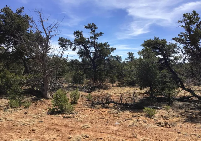 Photo 4 of Sale Pending at Lot 696 Gabe Rd, Ramah, NM 87321 | MLS# 1056770 | Listing updated on 2026-08-03
