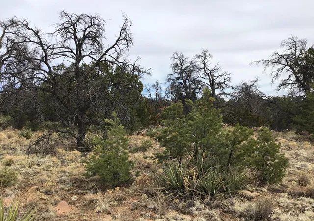 Photo 3 of Sale Pending at Lot 585 Betty Ln, Ramah, NM 87321 | MLS# 1057516 | Listing updated on 2026-08-03