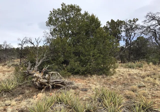 Photo 3 of Sale Pending at Lot 585 Betty Ln, Ramah, NM 87321 | MLS# 1057516 | Listing updated on 2026-08-03