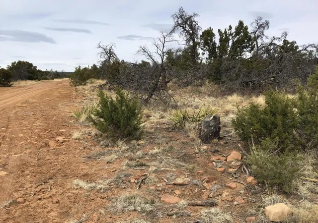 Photo 4 of Sale Pending at Lot 585 Betty Ln, Ramah, NM 87321 | MLS# 1057516 | Listing updated on 2026-08-03