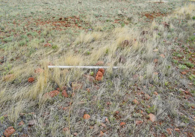 Photo 1 of Land for sale at Lot 40 Sunset Vista Rd, San Antonio, NM 87832 | MLS# 1058723 | Listing updated on 2026-07-21