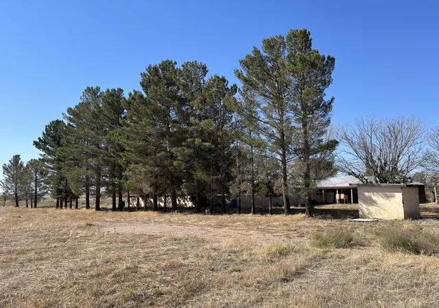 Photo 1 of Land for sale at 53 Nina Rd, Lordsburg, NM 88045 | MLS# 1058940 | Listing updated on 2026-02-07