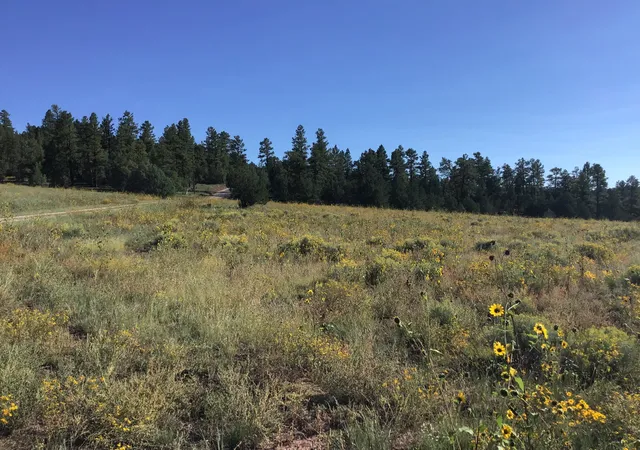 Homes for sale in Ramah, NM | Lot 14 E Elk Dr, Ramah, NM 87321 | MLS# 1059575