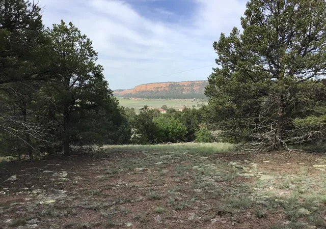 Homes for sale in Ramah, NM | Lot 6 Sunflower Dr, Ramah, NM 87321 | MLS# 1059579