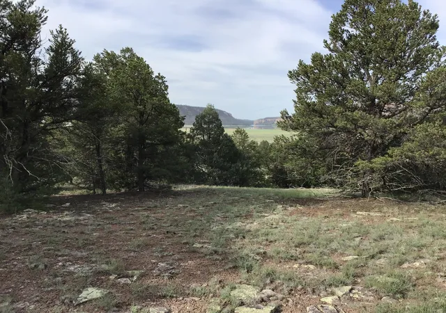 Homes for sale in Ramah, NM | Lot 6 Sunflower Dr, Ramah, NM 87321 | MLS# 1059579