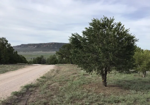 Homes for sale in Ramah, NM | Lot 6 Sunflower Dr, Ramah, NM 87321 | MLS# 1059579