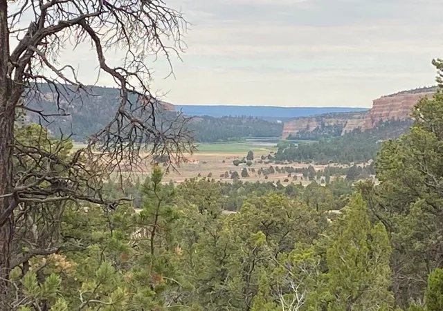 Homes for sale in Ramah, NM | Lot 23 Sunflower Dr, Ramah, NM 87321 | MLS# 1059589