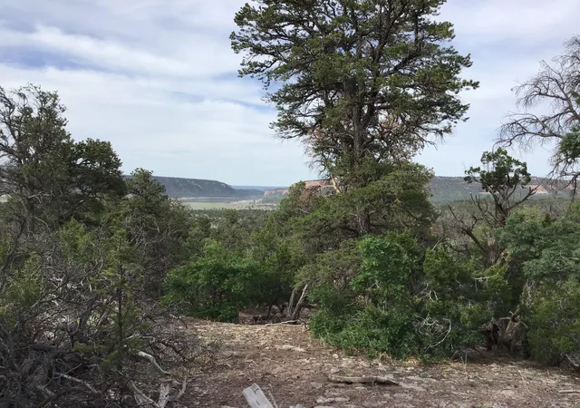 Homes for sale in Ramah, NM | Lot 23 Sunflower Dr, Ramah, NM 87321 | MLS# 1059589