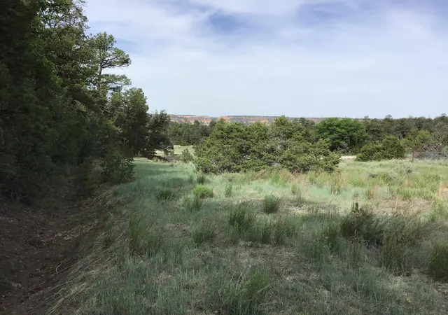 Homes for sale in Ramah, NM | Lot 23 Sunflower Dr, Ramah, NM 87321 | MLS# 1059589