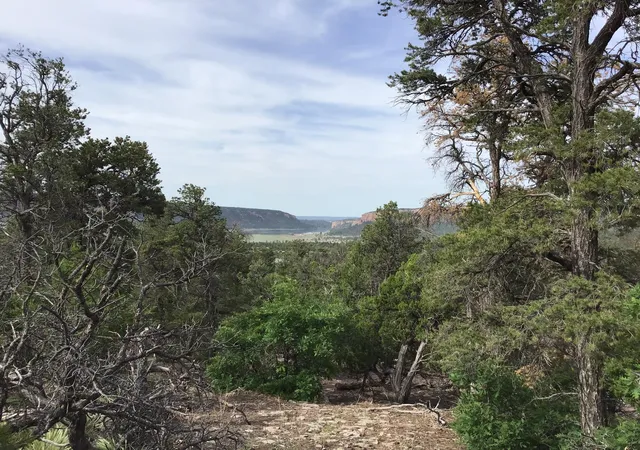 Homes for sale in Ramah, NM | Lot 23 Sunflower Dr, Ramah, NM 87321 | MLS# 1059589