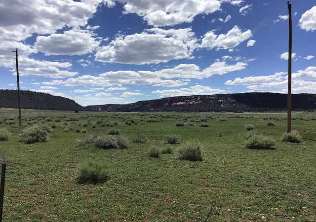 Homes for sale in Ramah, NM | Lot D Timberlake Rd, Ramah, NM 87321 | MLS# 1059590