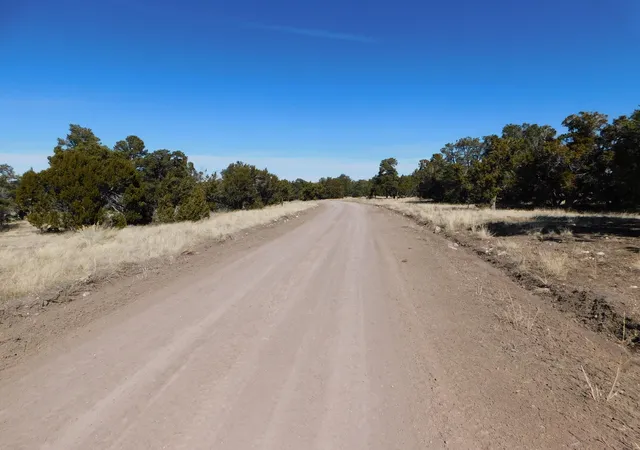 Homes for sale in Quemado, NM | Lot 38a Agua Fria Loop, Quemado, NM 87829 | MLS# 1059977