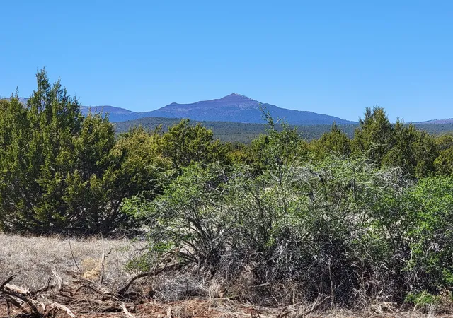 Homes for sale in Tajique, NM | 172 Rosewood Dr, Tajique, NM 87016 | MLS# 1060045