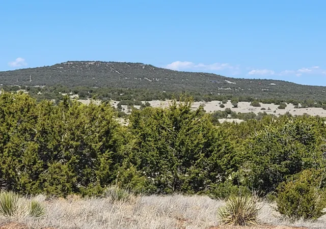 Homes for sale in Tajique, NM | 172 Rosewood Dr, Tajique, NM 87016 | MLS# 1060045