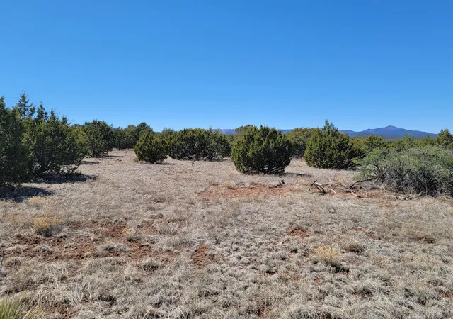 Homes for sale in Tajique, NM | 172 Rosewood Dr, Tajique, NM 87016 | MLS# 1060045
