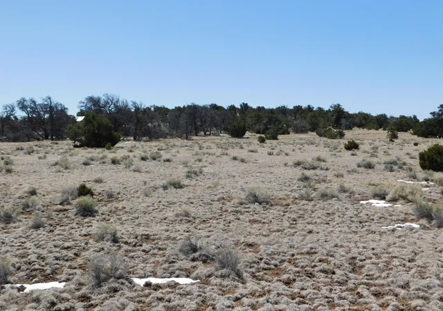 Homes for sale in Quemado, NM | Lot 5 Golden Horeshoe Trail, Quemado, NM 87829 | MLS# 1060265