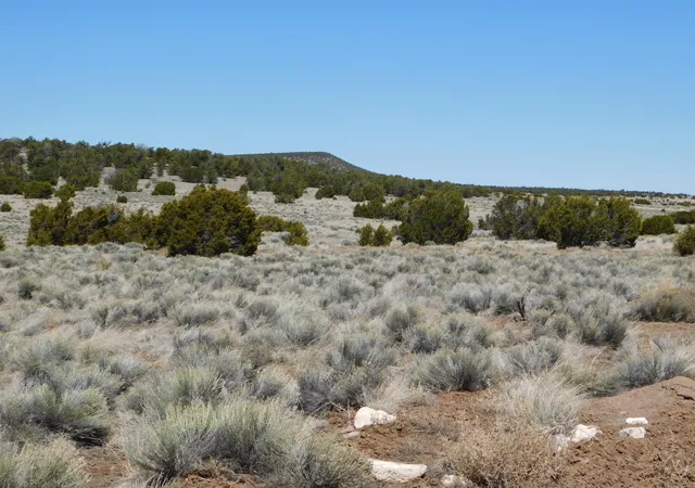 Homes for sale in Quemado, NM | Lot 67 Bronco Boulevard, Quemado, NM 87829 | MLS# 1060268