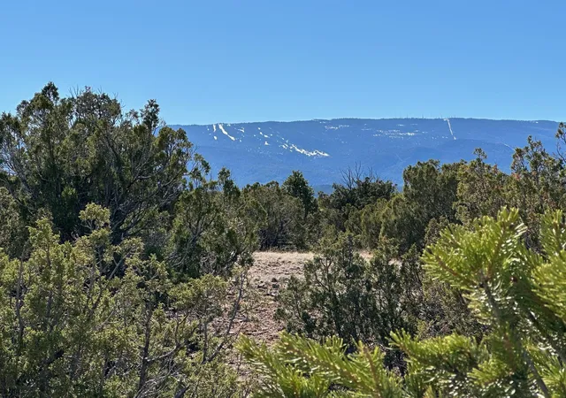 Photo 3 of Land for sale at 45 Stagecoach Trl, Sandia Park, NM 87047 | MLS# 1060753 | Listing updated on 2026-07-26