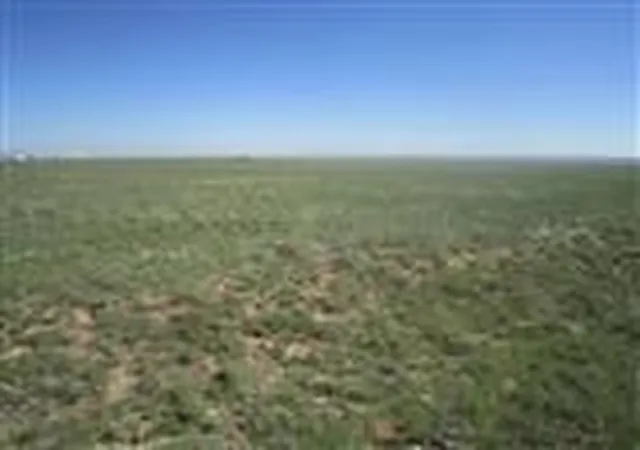 Photo 1 of Land for sale at Palomino Dr (lot 23), Moriarty, NM 87035 | MLS# 1060973 | Listing updated on 2026-04-17