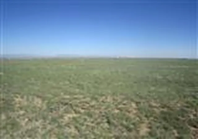 Photo 3 of Land for sale at Palomino Dr (Lot 23), Moriarty, NM 87035 | MLS# 1060973 | Listing updated on 2026-04-17