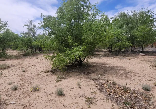 43rd image of 241 El Cerro Lp, Los Lunas, NM 87031 | MLS# 1062526