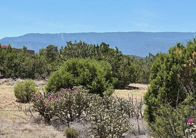 Photo 1 of Land for sale at 29 Via Entrada, Sandia Park, NM 87047 | MLS# 1065231 | Listing updated on 2026-08-26