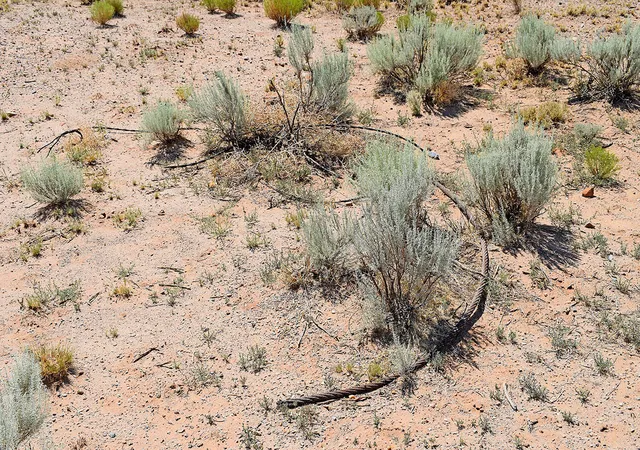 5th image of Lot 206 Rancho Rio Grande #16e, Los Lunas, NM 87031 | MLS# 1065701