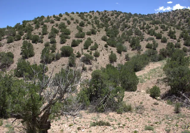 Homes for sale in Placitas, NM | Tres Amigos, Placitas, NM 87043 | MLS# 1066661