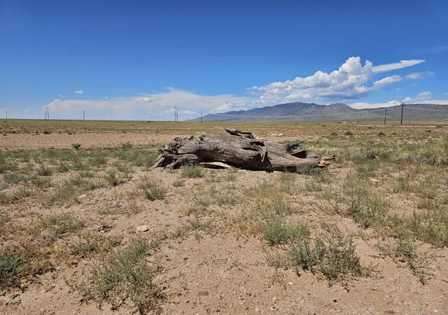 Photo 3 of Land for sale at Vl Lot 19 Lot 20 Block 9 #5, Socorro, NM 87801 | MLS# 1067070 | Listing updated on 2026-07-21