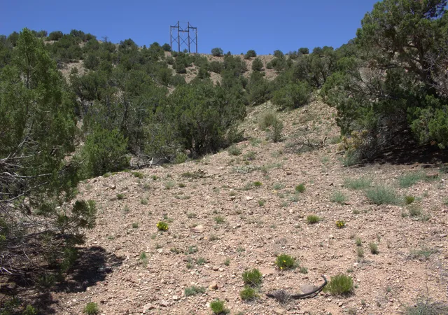 Photo 2 of Land for sale at Tres Amigos, Placitas, NM 87043 | MLS# 1067278 | Listing updated on 2026-07-08
