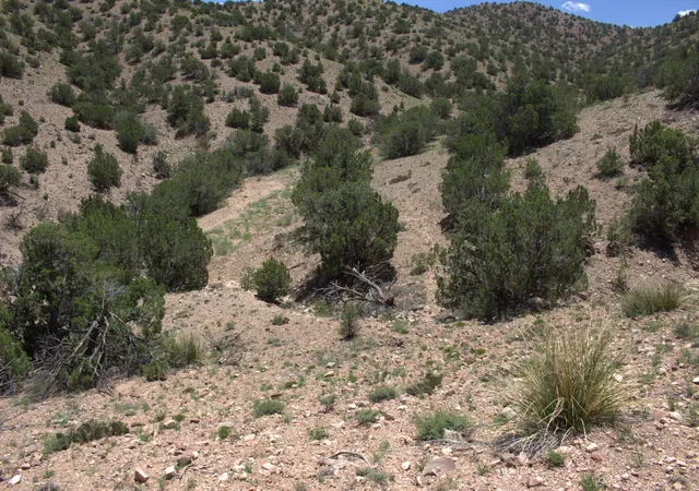 Homes for sale in Placitas, NM | Tres Amigos Rd, Placitas, NM 87043 | MLS# 1067282
