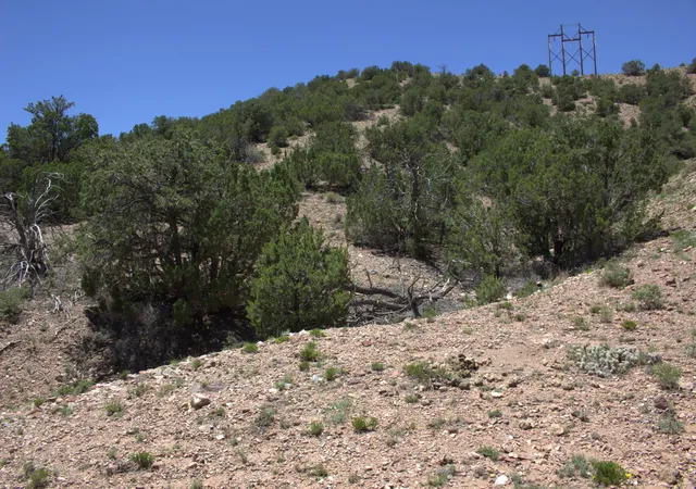Homes for sale in Placitas, NM | Tres Amigos Rd, Placitas, NM 87043 | MLS# 1067282