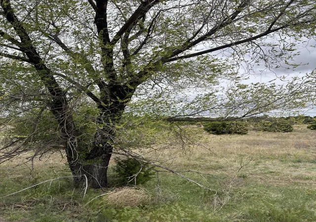 Photo 2 of Land for sale at 36 Entranosa Ln, Edgewood, NM 87015 | MLS# 1068365 | Listing updated on 2026-08-10
