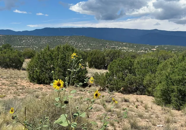 2nd image of 1 Gold Mine Trl, Sandia Park, NM 87047 | MLS# 1069452