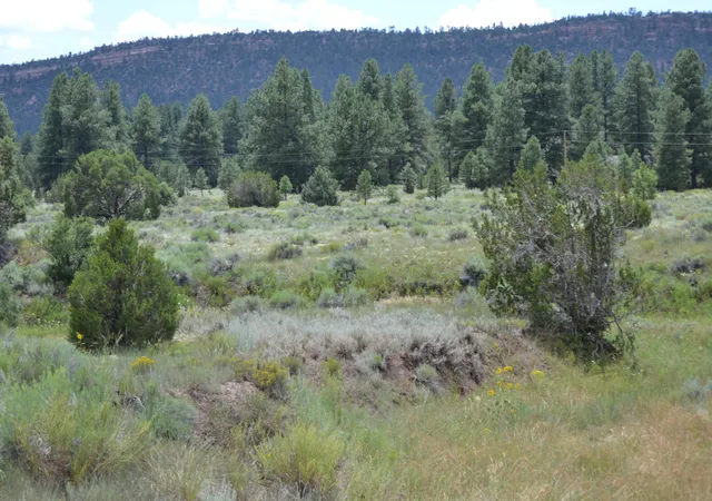 Homes for sale in Ramah, NM | Timberlake Ranch, Ramah, NM 87321 | MLS# 1069479