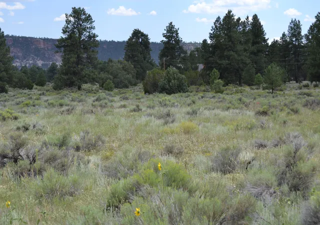 Homes for sale in Ramah, NM | Timberlake Ranch, Ramah, NM 87321 | MLS# 1069479