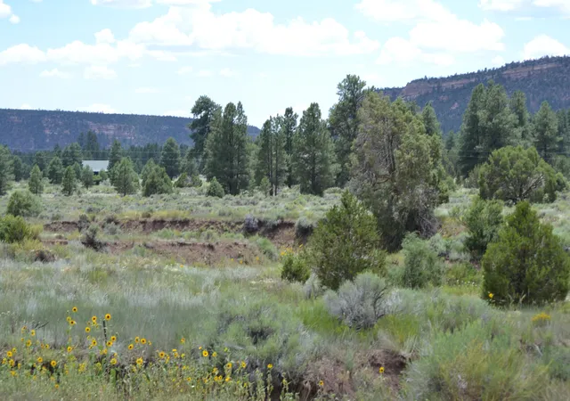 Homes for sale in Ramah, NM | Timberlake Ranch, Ramah, NM 87321 | MLS# 1069479