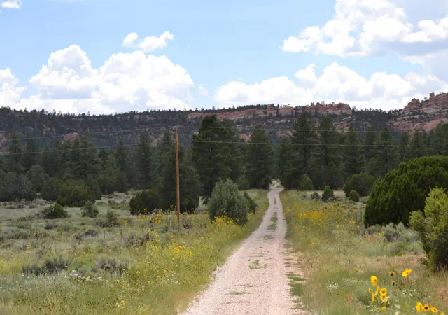Homes for sale in Ramah, NM | Timberlake Ranch, Ramah, NM 87321 | MLS# 1069479