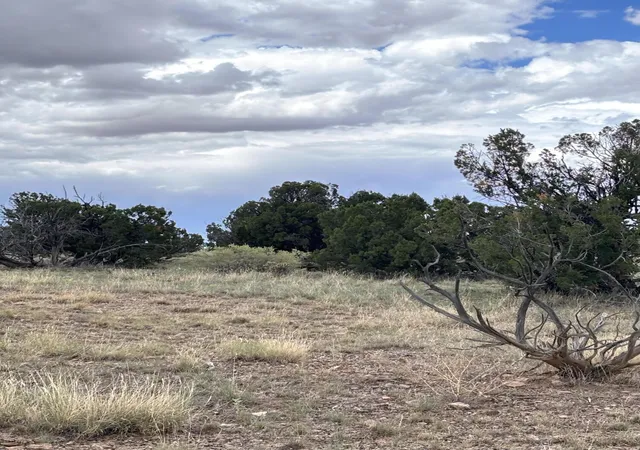 Photo 1 of Land for sale at 95 Abbe Springs, Magdalena, NM 87825 | MLS# 1070326 | Listing updated on 2026-09-01