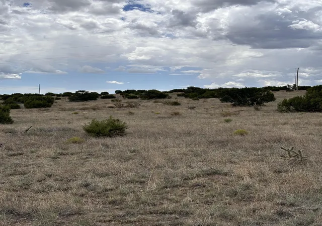 Photo 2 of Land for sale at 95 Abbe Springs, Magdalena, NM 87825 | MLS# 1070326 | Listing updated on 2026-09-01