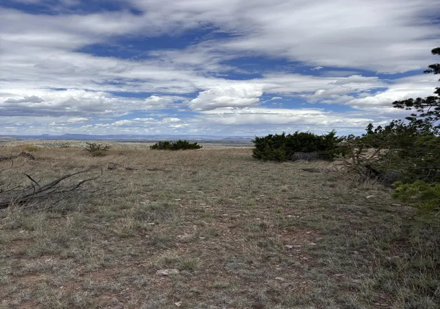 Photo 3 of Land for sale at 95 Abbe Springs, Magdalena, NM 87825 | MLS# 1070326 | Listing updated on 2026-09-01