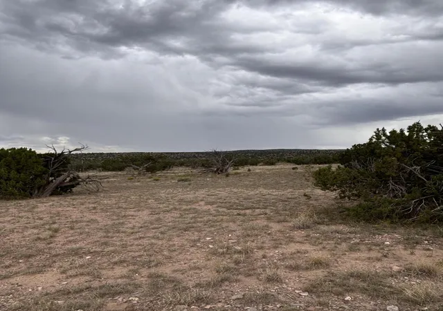 Photo 3 of Land for sale at 95 Abbe Springs, Magdalena, NM 87825 | MLS# 1070326 | Listing updated on 2026-09-01