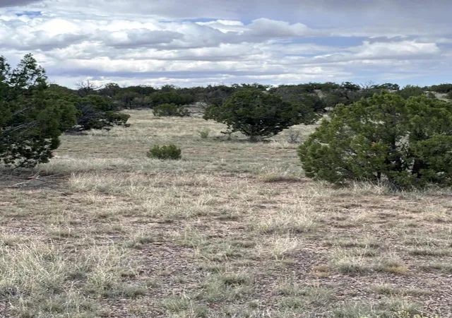 Photo 4 of Land for sale at 95 Abbe Springs, Magdalena, NM 87825 | MLS# 1070326 | Listing updated on 2026-09-01