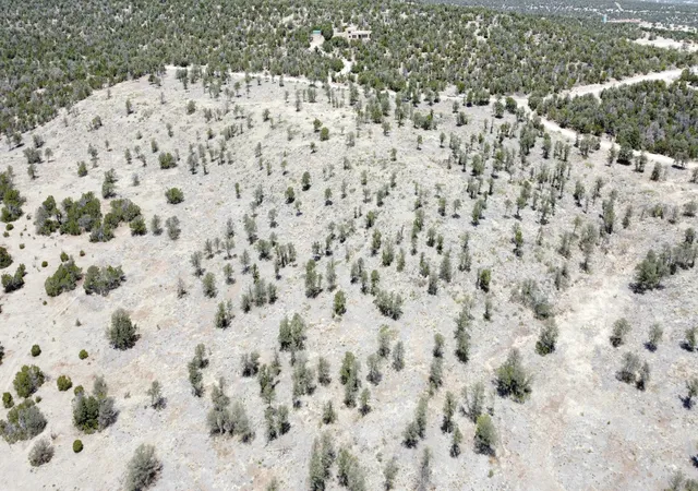Photo 1 of Land for sale at Twin Peaks Ct Lot 16, Estancia, NM 87016 | MLS# 1070873 | Listing updated on 2026-07-22